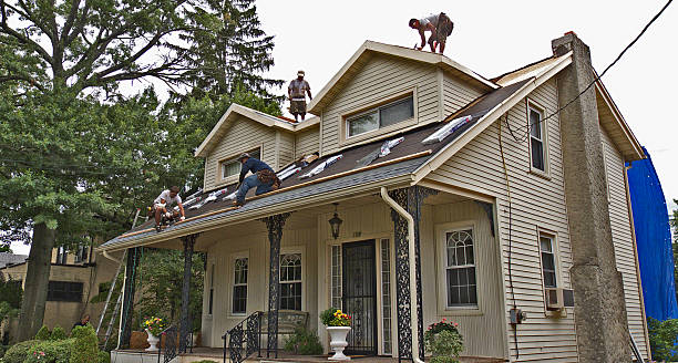 Best New Roof Installation  in Wilsons Mills, NC