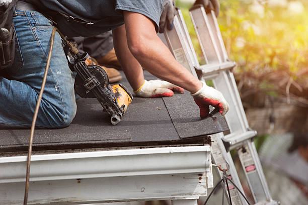 Best Roof Gutter Cleaning  in Wilsons Mills, NC